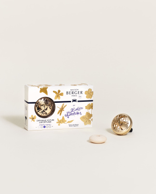 Автодиффузор-клипса Лолита Лемпика золотой