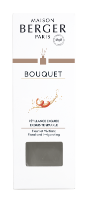 Аромадиффузор Брызги шампанского 100мл