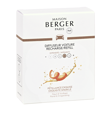 Сменные блоки 2шт для автодиффузора-клипсы Брызги шампанского